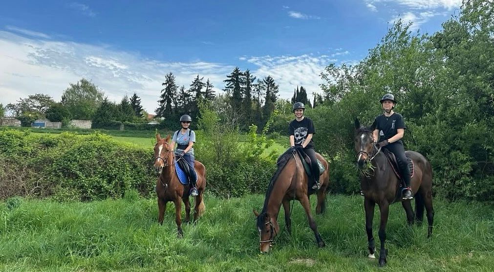 Balade en forêt depuis la JK Equestrian Academy