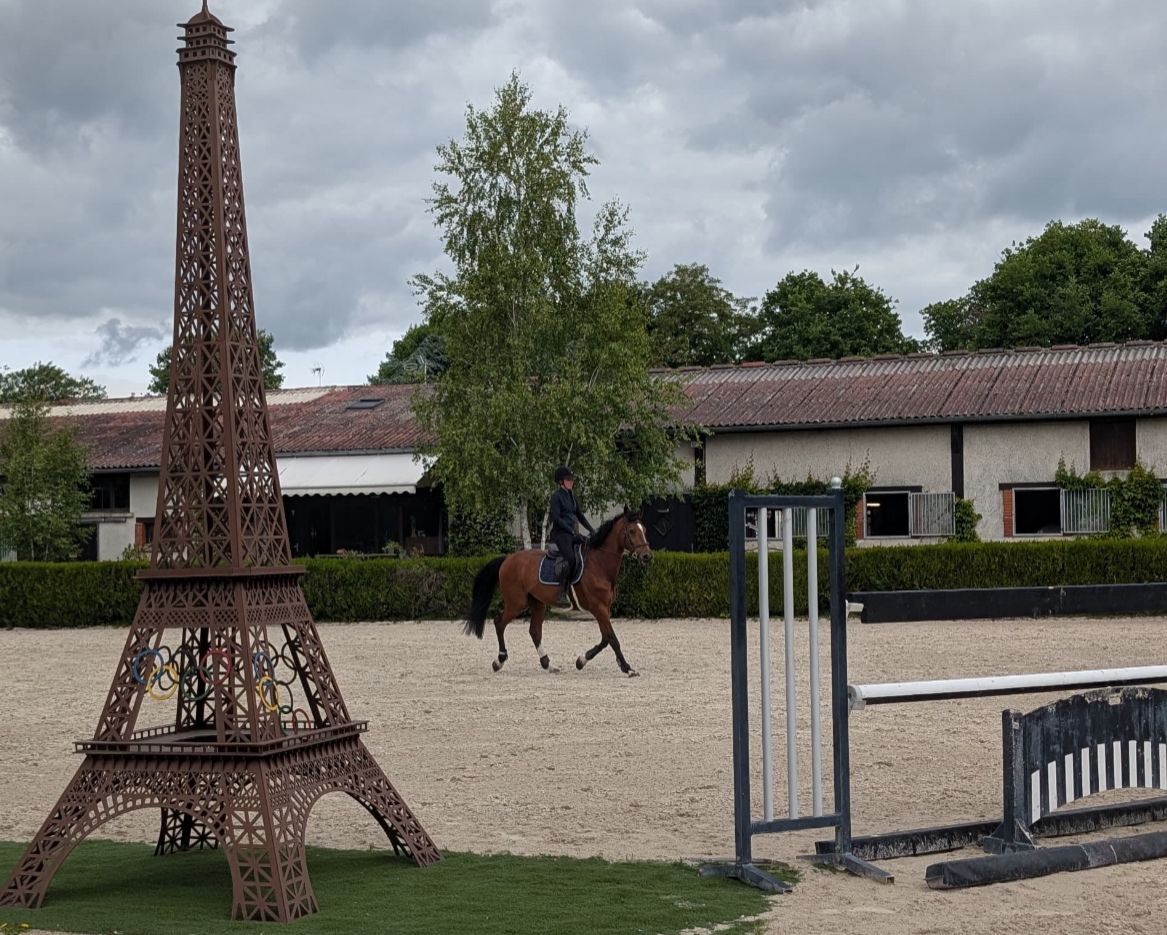 Stage CSO – JK Equestrian Academy