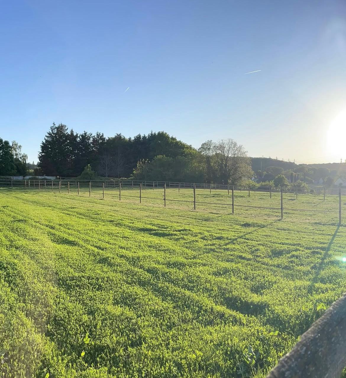 Écurie propriétaire Saulx-les-Chartreux - JK Equestrian Academy